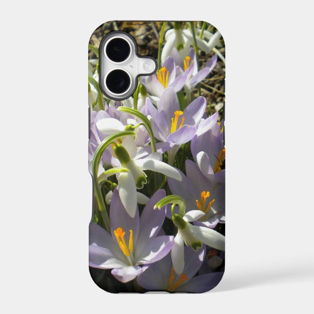 Crocus and Snowdrops iPhone 5 case (Back)