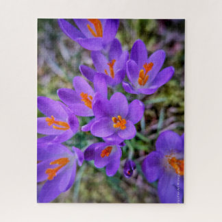 Crocus Fine Art Jigsaw Puzzle