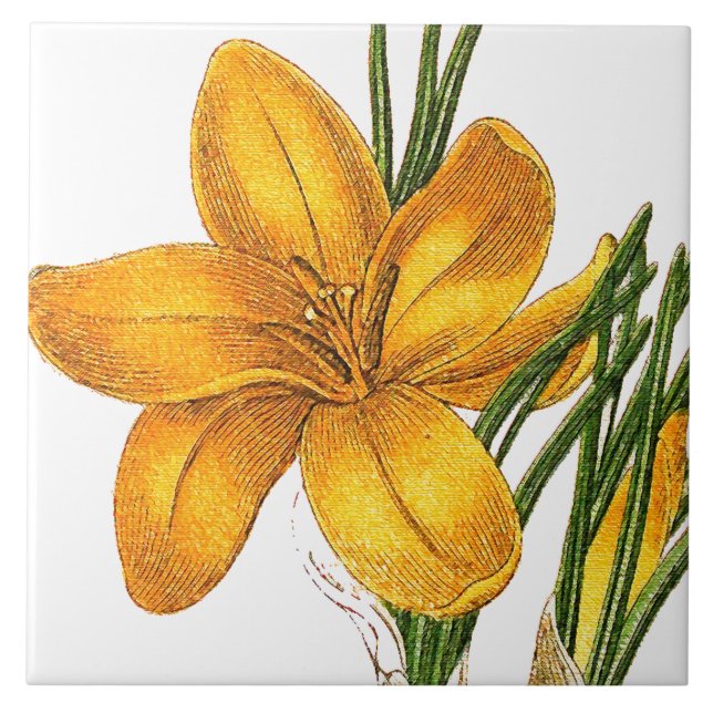 Crocus Floral Garden Botanical Flower Tile (Front)
