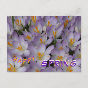 Crocus Flowers Motif Bonne Carte postale Printemps