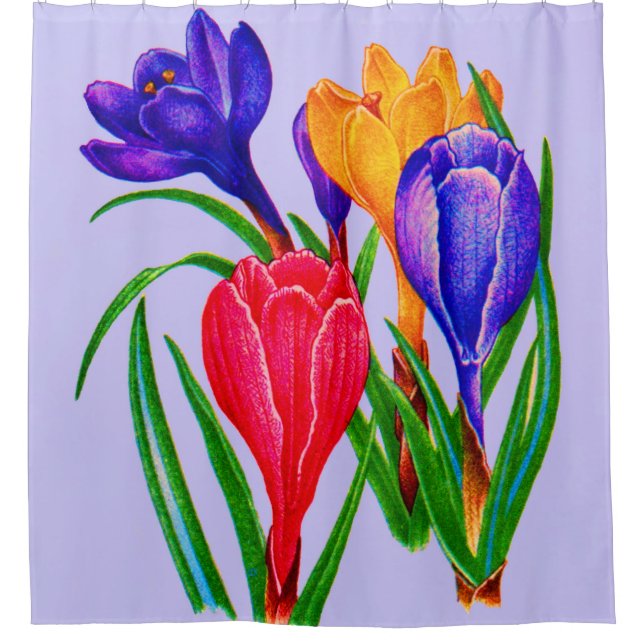 crocus flowers print (Front)