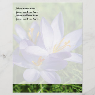 Crocus Letterhead