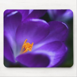 crocus mouse pad