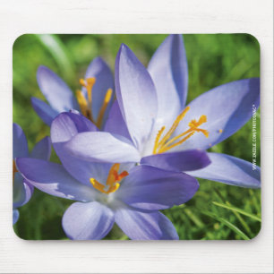 Crocus Mouse Pad