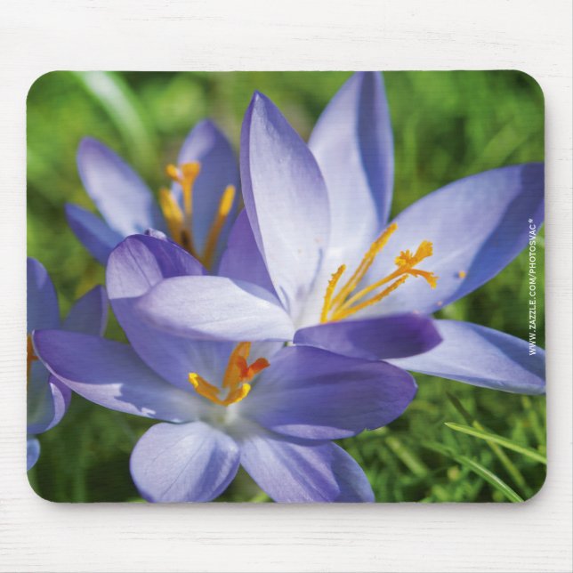 Crocus Mouse Pad (Front)