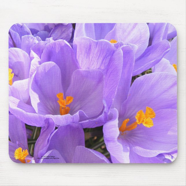 Crocus Mousepad (Front)