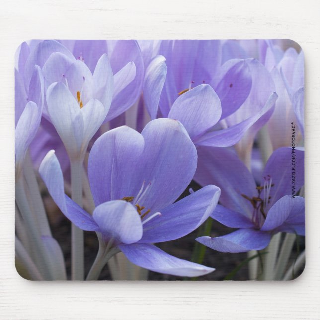 Crocus Mousepad (Front)