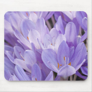 Crocus Mousepad