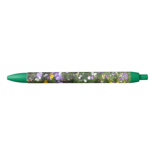 Crocus Multicolor Spring Flowers Green Pen (Front)