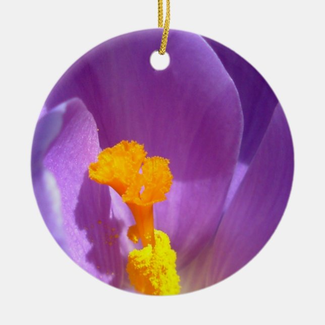 Crocus Ornament Purple Flowers Decoration (Front)