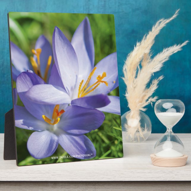 Crocus Plaque (Side)