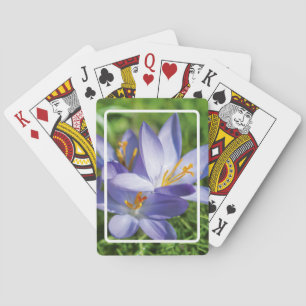 Crocus Playing Cards