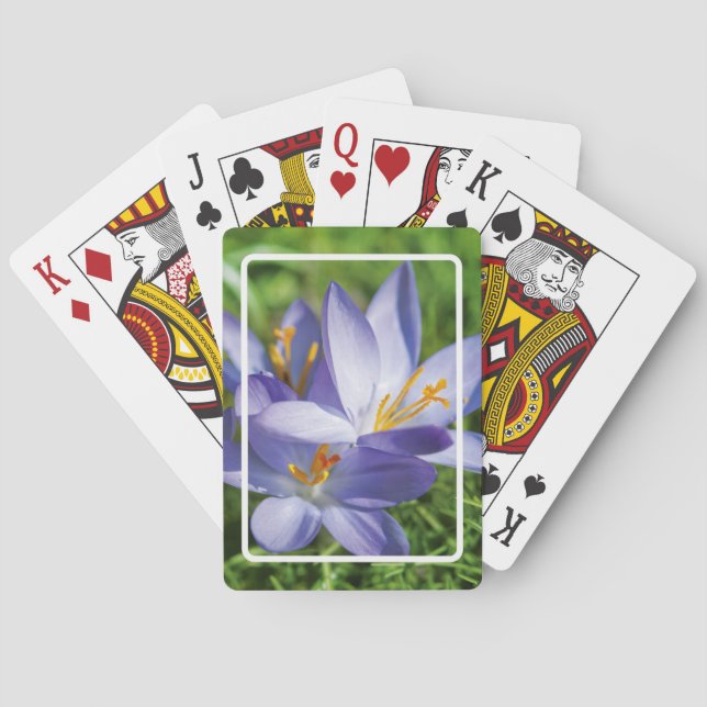 Crocus Playing Cards (Back)