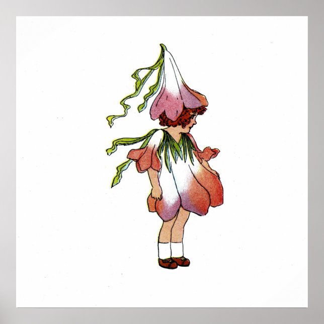 Crocus Poster (Front)