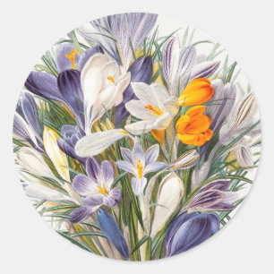 Crocus Spring Flower Botanical Floral Art Classic Round Sticker