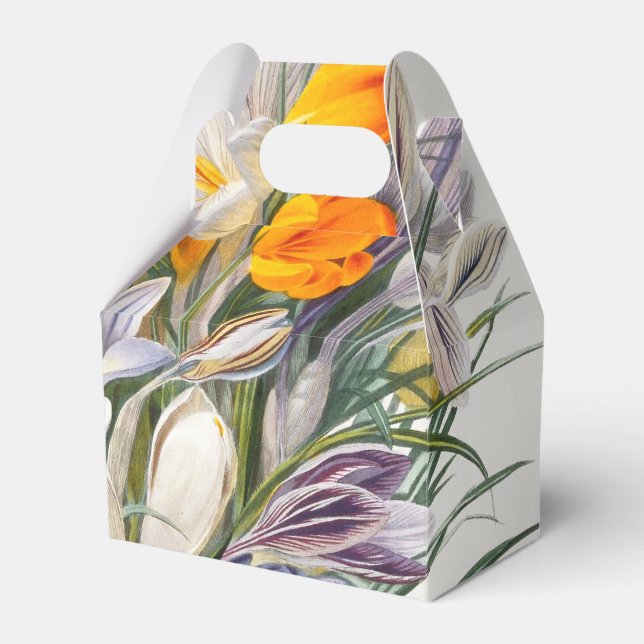 Crocus Spring Flower Botanical Floral Art Favor Box (Front Side)