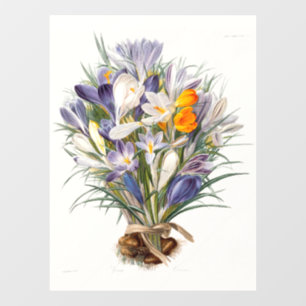 Crocus Spring Flower Botanical Floral Art Window Cling