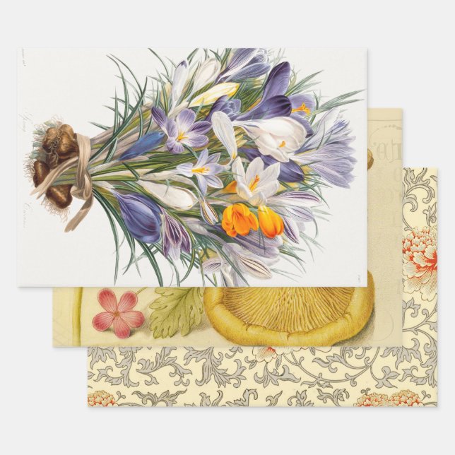 Crocus Spring Flower Botanical Floral Art Wrapping Paper Sheet (Set)