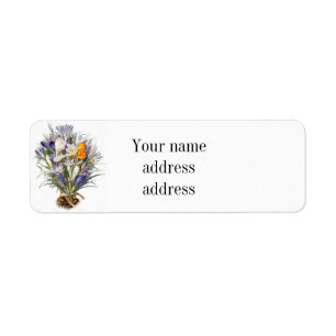Crocus Spring Flower Botanique Floral Art