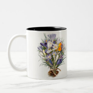 Crocus Spring Flower Floral Art Two-Tone Coffee Mug