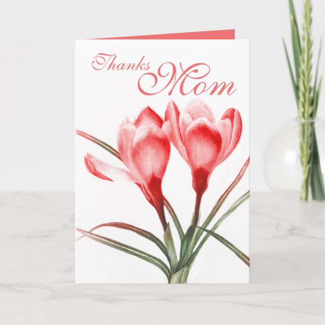 Crocus "Thanks Mom" pink red mothers card (Front)