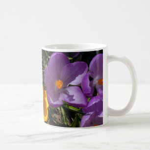 Crocus Trio, CEHiday Coffee Mug