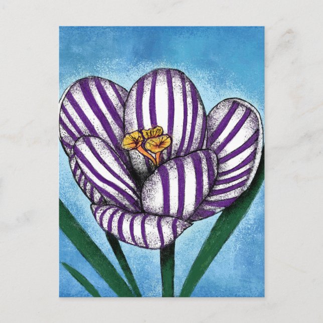 Crocus Will Preen Postcard (Front)