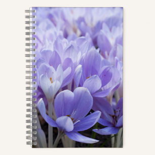 Crocus Wrapped Canvas Print Notebook