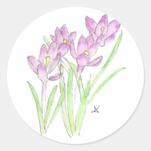 crocuses classic round sticker