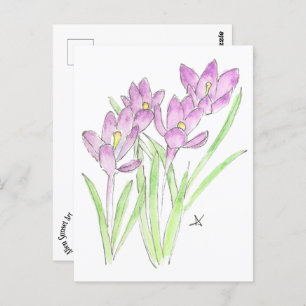 crocuses postcard