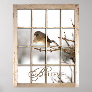 CROIRE POSTER - OISEAU PAR LA FENÊTRE