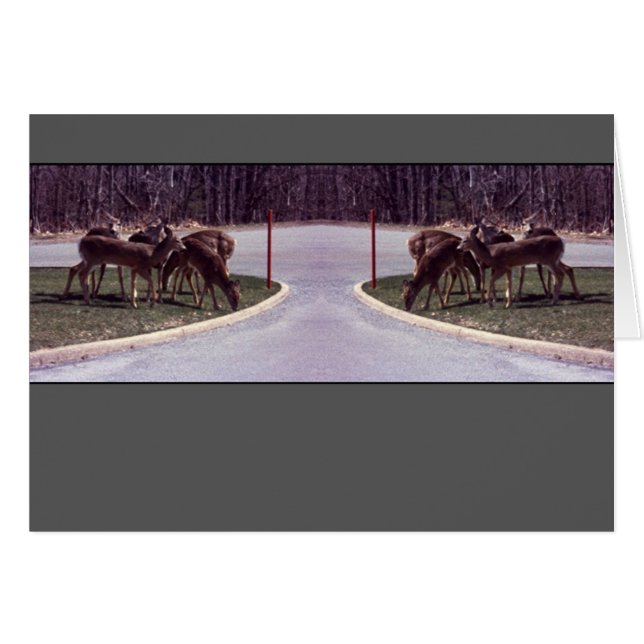 Croisement de cerfs communs - carte (Devant horizontal)