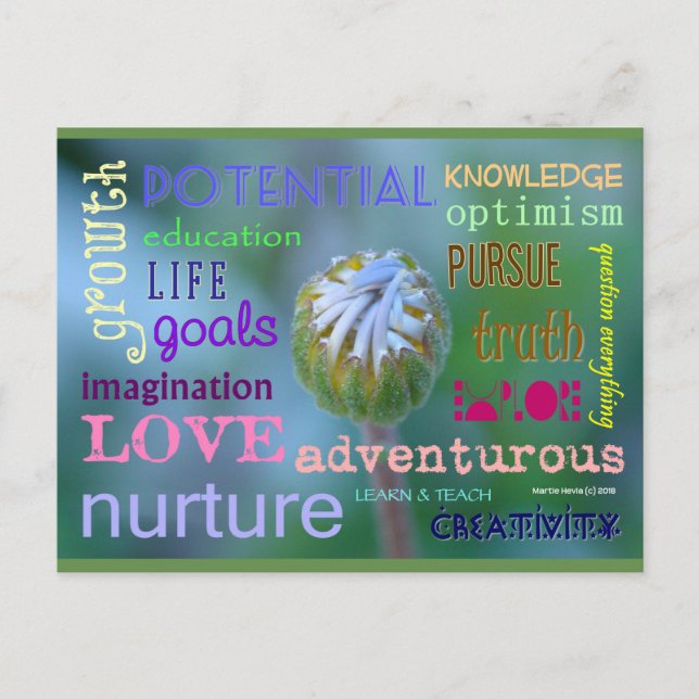 Croissance potentielle | Carte postale Blue Beach  (Devant)