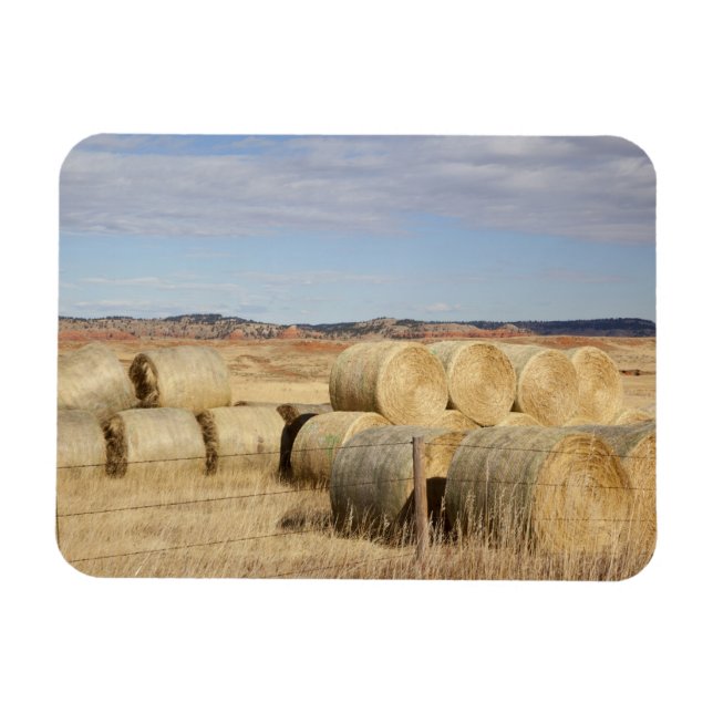 Crook County, Hay Bales Magnet (Horizontal)