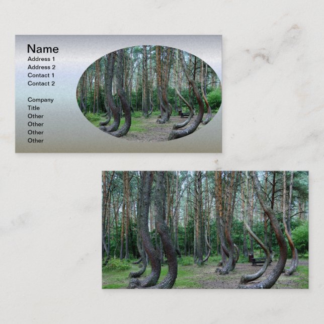 Crooked Forest - Poland Business Card (Front/Back)
