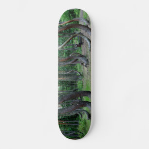 Crooked Forest - Poland Skateboard