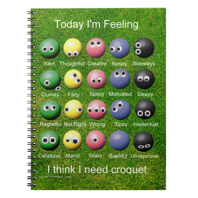 Croquet Emotions Notebook (Front)