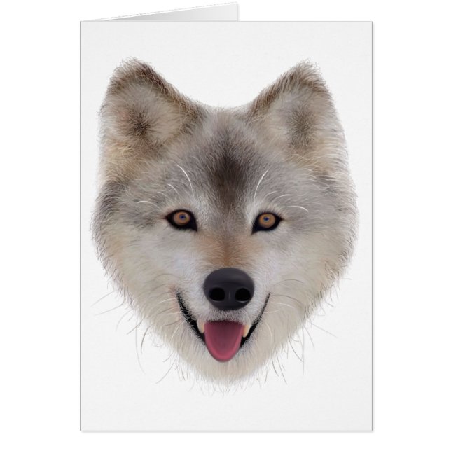 Croquis de loup de neige (Devant)