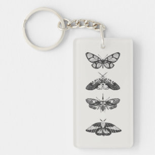 Croquis de papillon noir et blanc en acrylique pou