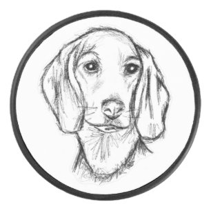 croquis de teckel dessiné à la main en noir et bla