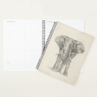 Croquis éléphant