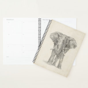 Croquis éléphant