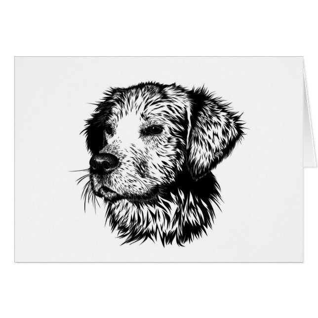 Croquis en tête de canine (Devant Horizontal)