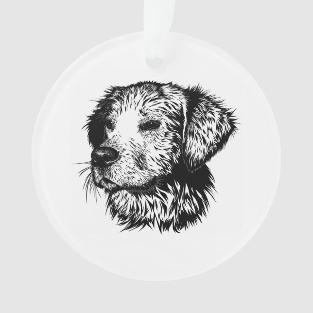 Croquis en tête de canine (devant)