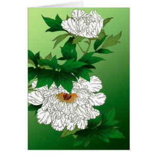 Croquis japonais vintage de grande pivoine blanche