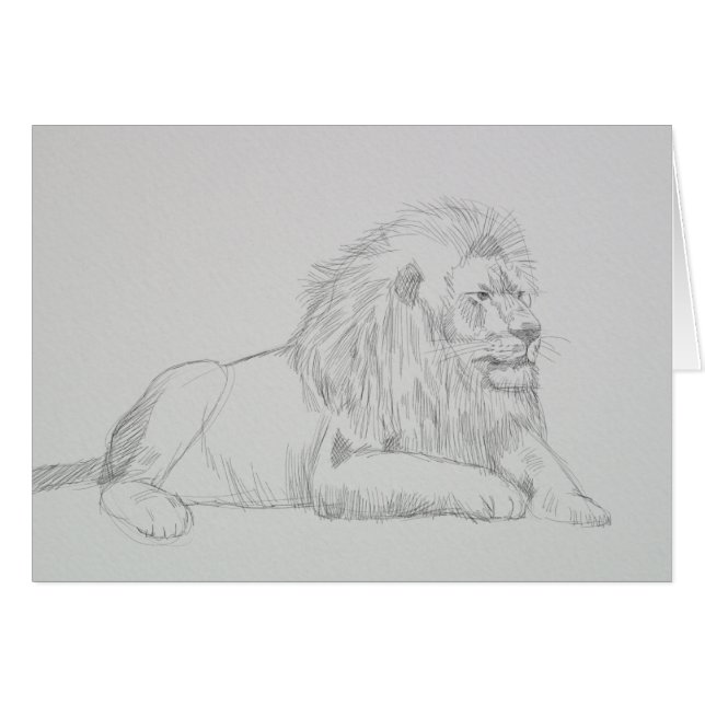 Croquis masculin de lion (Devant horizontal)