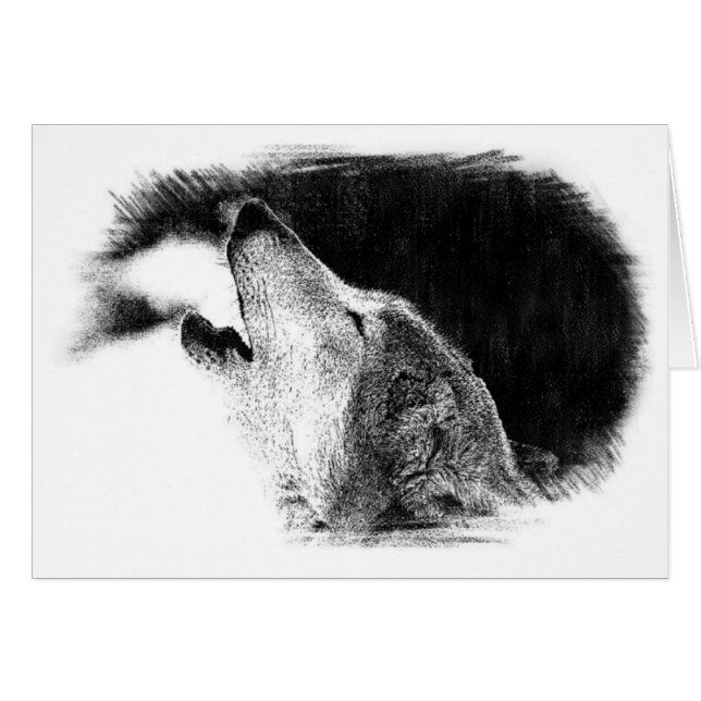 Croquis noir et blanc Loup gris (Devant horizontal)
