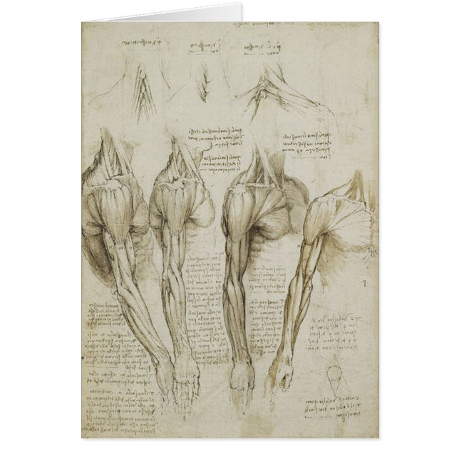 Croquis squelettiques humains de l'anatomie de da (Devant)
