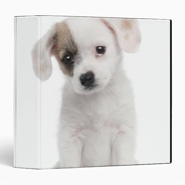 Cross breed puppy (2 months old) binder (Front/Spine)