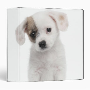 Cross breed puppy (2 months old) binder